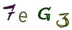 圖片的 CAPTCHA