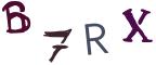 圖片的 CAPTCHA