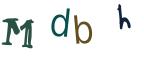 圖片的 CAPTCHA