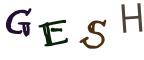 圖片的 CAPTCHA