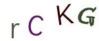 圖片的 CAPTCHA