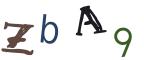 圖片的 CAPTCHA
