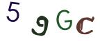 圖片的 CAPTCHA