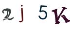 圖片的 CAPTCHA