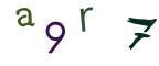 圖片的 CAPTCHA