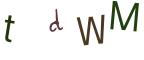 圖片的 CAPTCHA