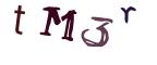 圖片的 CAPTCHA