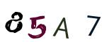 圖片的 CAPTCHA