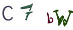 圖片的 CAPTCHA