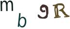 圖片的 CAPTCHA