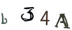 圖片的 CAPTCHA