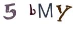 圖片的 CAPTCHA