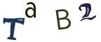 圖片的 CAPTCHA