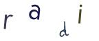 圖片的 CAPTCHA