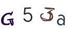 圖片的 CAPTCHA
