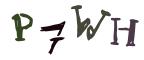 圖片的 CAPTCHA