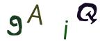 圖片的 CAPTCHA